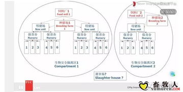 非瘟下的生存与盈利 3.20pic技术交流会听课笔记